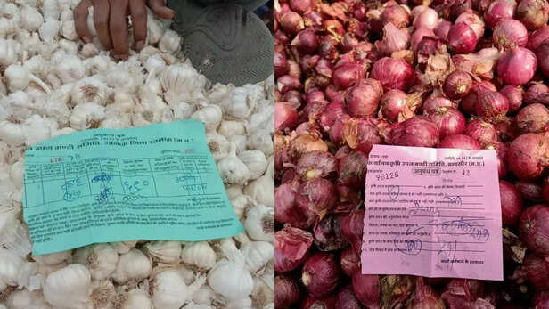 357301-garlic-onion-price-farmers-wholesale-price-ratlam-mandi-farmers-profit-loss-2