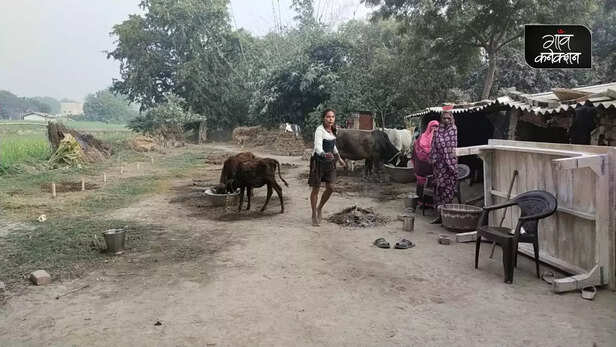 362874-jyoti-yadav-cricketer-mirzapur-dlcl-delhi-lil-cricket-league-daily-wage-labourer-uttar-pradesh-4