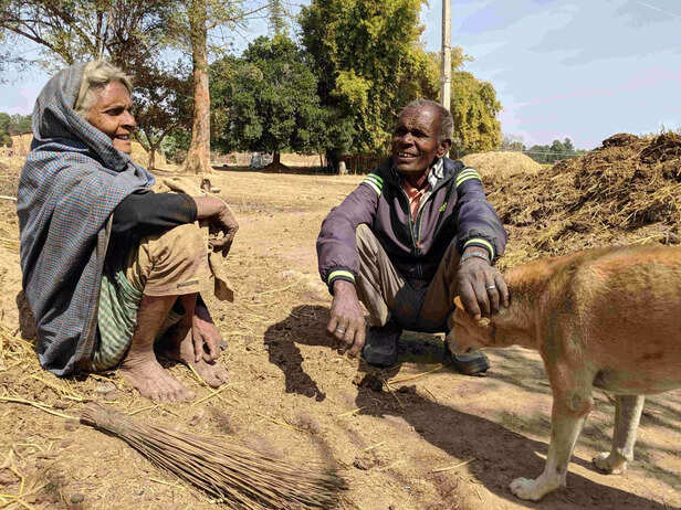 331398-img20190205114301-scaled