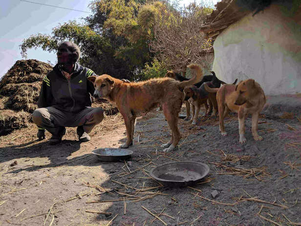 331399-img20190205103139-scaled