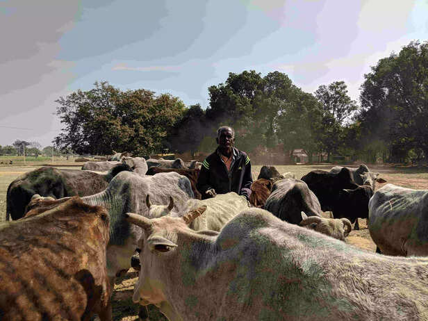 331400-img201902051104521-scaled