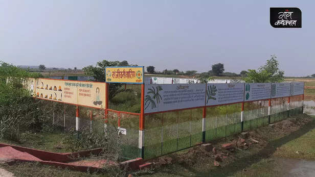 364094-rajasthan-migrant-villagers-transform-model-village-rural-india-empowerment-dholpur-5