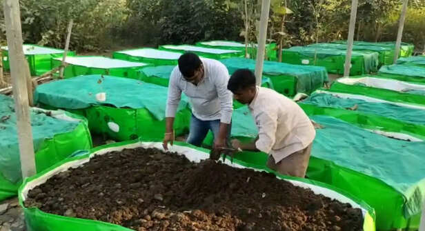 351664-vermi-mirzapur