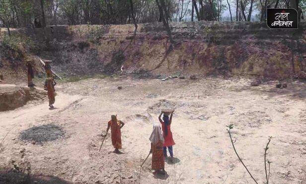 360161-inter-cropping-mgnrega-convergence-scheme-livelihoods-improving-health-jharkhand-3