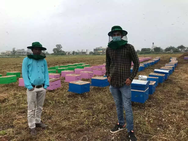 356145-honey-mission-or-sweet-revolution-praveen-raghuvani-madhya-pradesh