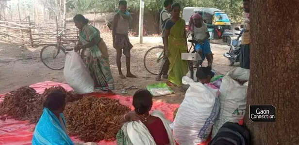 354055-jharkhand-women