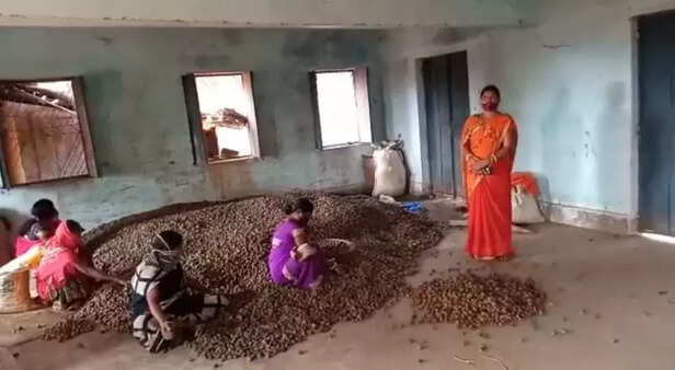 354056-business-women-jharkhand-tribal-women-agri-entrepreneurs-jslps-women-empowerment-livelihood-jslps-3