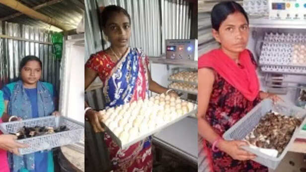 359433-community-based-mini-incubator-poultry-production-rural-women-entrepreneurs-andaman-and-nicobar-islands-4