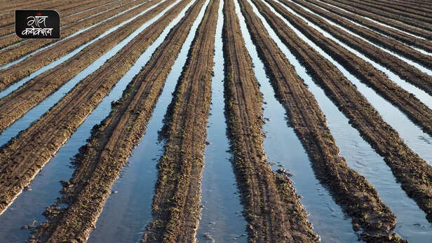 363547-sustainable-groundwater-development-solar-irrigation-farming-central-ground-water-board-2