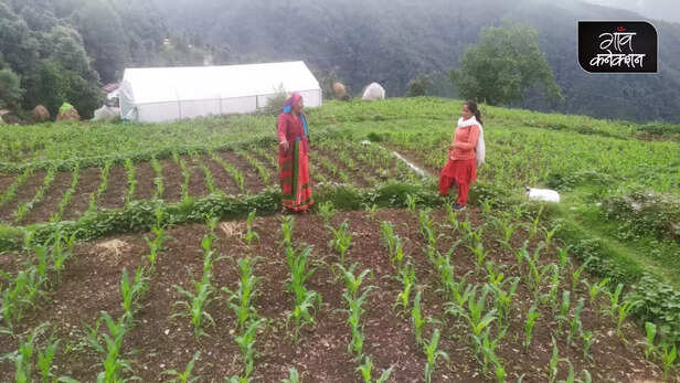 363051-khasti-devi-bageshwar-uttarakhand-climate-smart-livelihood-and-nutritional-security-best-farmer-award-4