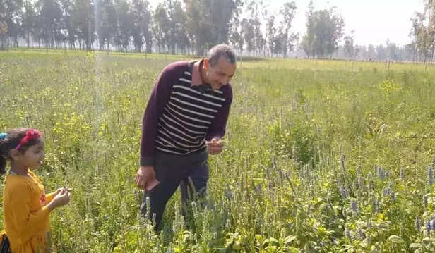 351698-barabanki-farmer-chia-seed-farming-man-ki-baat-pm-modi-gaon-connection-3