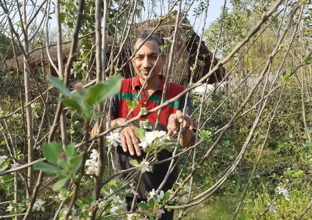 351699-barabanki-farmer-chia-seed-farming-man-ki-baat-pm-modi-gaon-connection-22