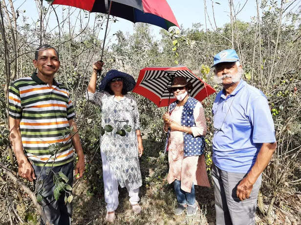 351700-barabanki-farmer-chia-seed-farming-man-ki-baat-pm-modi-gaon-connection-24