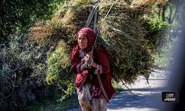 368300-jammu-kashmir-midwives-health-infrastructure-rural-india-maternal-health-nurse-5