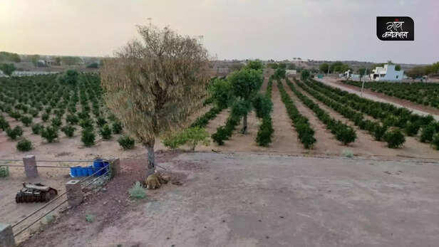 360525-ashok-jangu-successful-farmer-rajasthan-jaipur-pomegranate-moringa-4