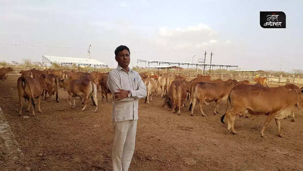 360528-ashok-jangu-successful-farmer-rajasthan-jaipur-pomegranate-moringa-6