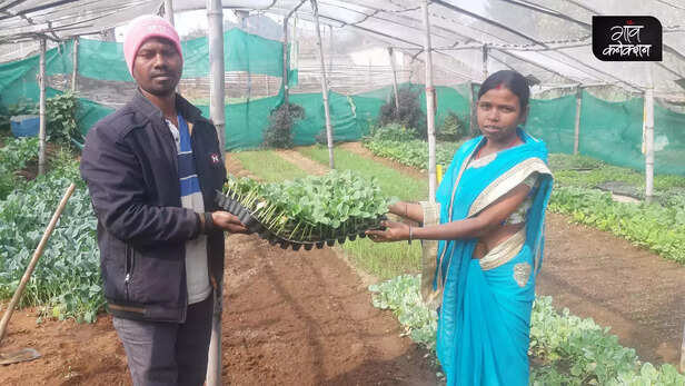 362960-tribal-women-ramgarh-jharkhand-nursery-business-entrepreneur-trif-livelihood-women-empowerment-shg-horticulture-6