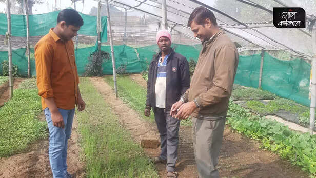 362961-tribal-women-ramgarh-jharkhand-nursery-business-entrepreneur-trif-livelihood-women-empowerment-shg-horticulture-2