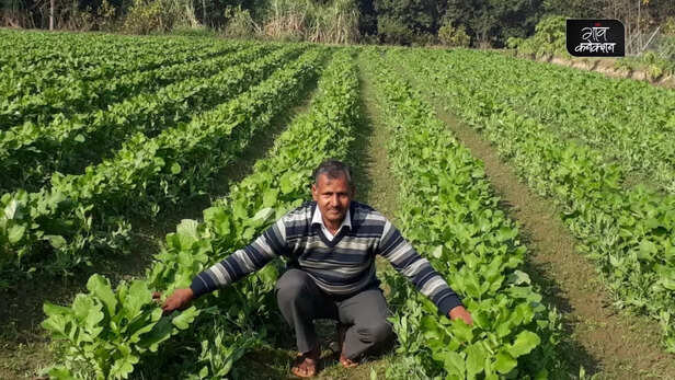 357538-sethpal-singh-3