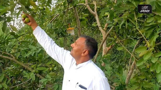 357539-progressive-farmer-saharanpur-uttar-pradesh-integrated-farming-padma-shri-award-3