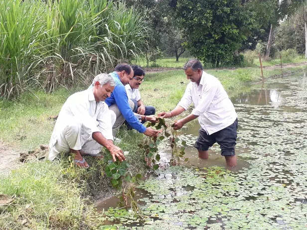 357540-sethpal-singh-1