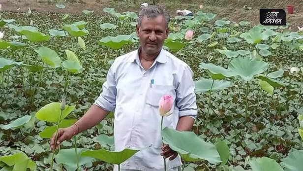 357541-progressive-farmer-saharanpur-uttar-pradesh-integrated-farming-padma-shri-award-4