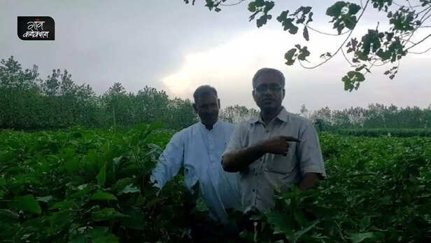 357536-progressive-farmer-saharanpur-uttar-pradesh-integrated-farming-padma-shri-award-2