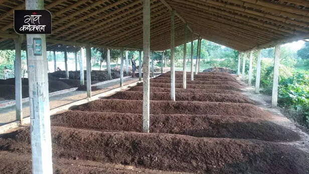 355407-sukhet-model-madhubani-bihar-pusa-agriculture-university-vermicompost-crop-residue-cow-dung-gaon-connection-man-ki-baat-narendra-modi-6