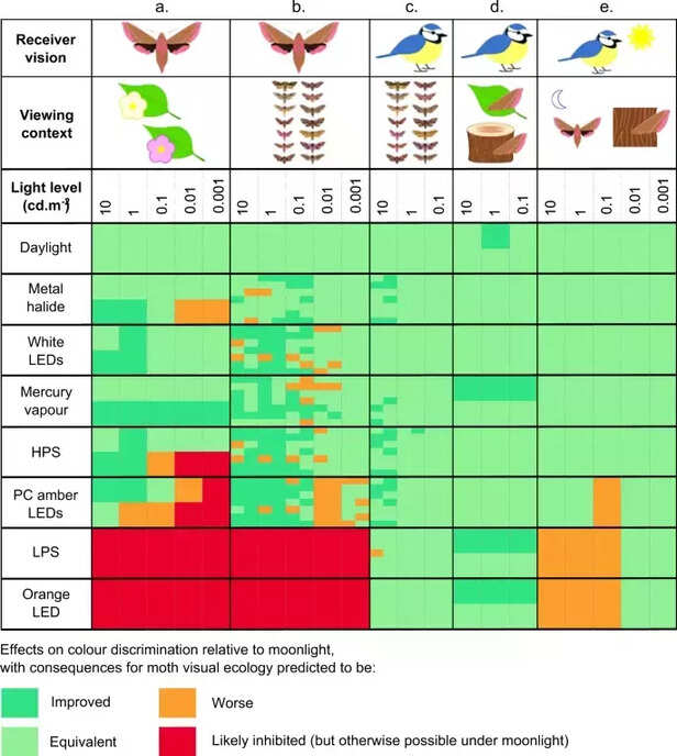 354274-artificial-nighttime-lighting-impacts-visual-ecology-insects-moth-light-polluition-1