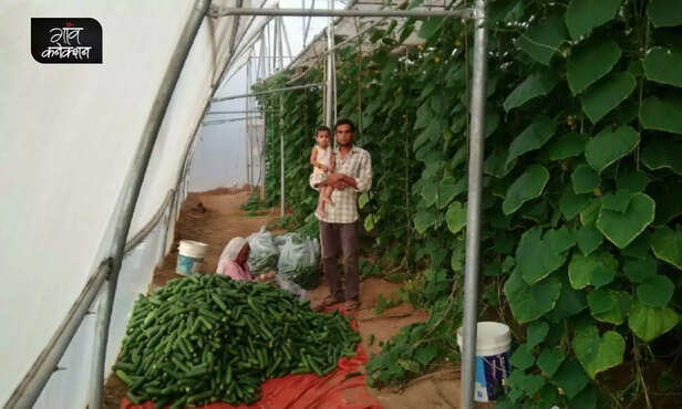 359676-polyhouse-farming-high-tech-nursery-agro-tourism-positive-story-lalit-devda-khushbu-devda-8