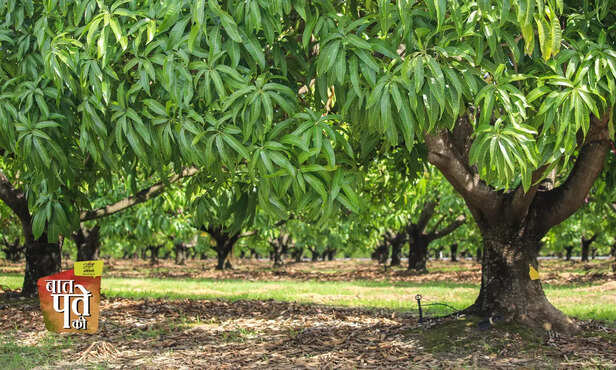 368674-hero-image-10