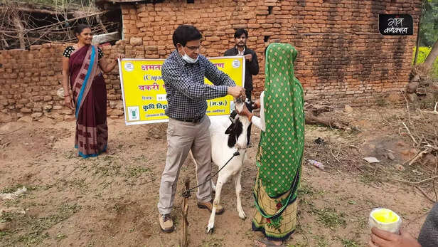 357319-krishi-vigyan-kendra-working-importance-farming-agriculture-animal-husbandry-agri-technology-5