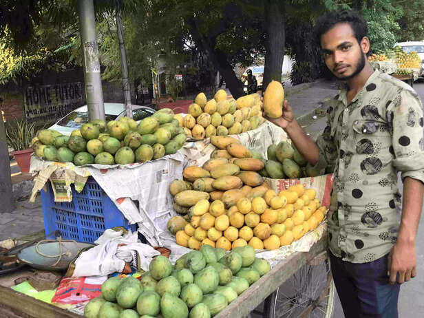 354451-mallika-mango-variety-taste-information-dasheri-chausa-neelum-mango-variety-2-scaled