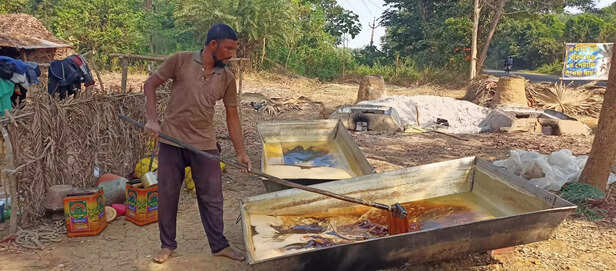 369715-date-palm-jaggery-winter-bankura-west-bengal-delicacy-patali-gur-traditional-jaggery-making-9-scaled