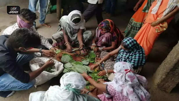 358942-agriculture-entrepreneur-rural-women-madhya-pradesh-krishi-udyami-self-help-group-tirf-4
