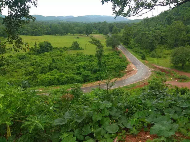 360765-elephant-human-conflict-jharkhand-forest-guard-jasbin-salker-aind-forest-west-singhbhum-wildlife-conflicts-1
