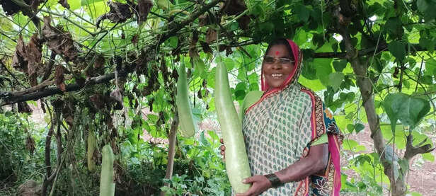 356442-whatsapp-image-2021-11-11-at-120109-pm