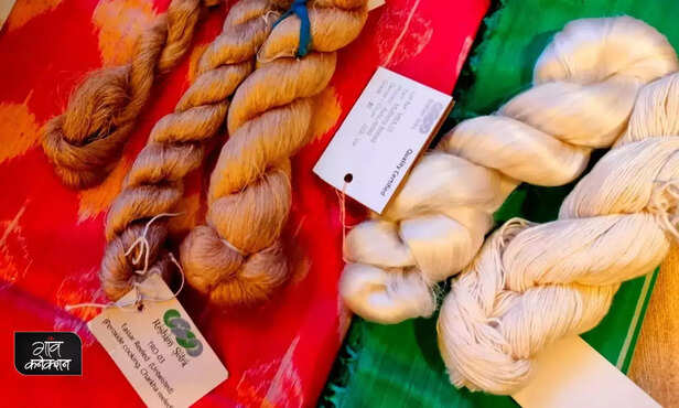 367464-silk-reelers-odisha-tribal-women-resham-sutra-solar-reeling-machine-unnati-6