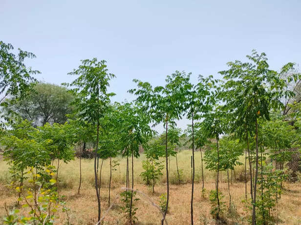 365123-whatsapp-image-2023-05-04-at-154052