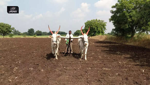 357091-negative-effects-of-climate-change-on-agriculture-government-agriculture-scheme-2