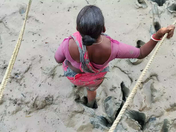 367003-sundarban-meendhara-west-bengal-74