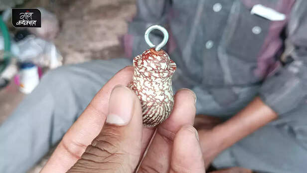 362509-betelnut-handicraft-supari-shilp-kala-rewa-madhya-pradesh-small-industry-art-culture-3