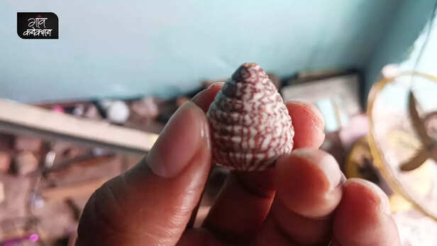 362512-betelnut-handicraft-supari-shilp-kala-rewa-madhya-pradesh-small-industry-art-culture-4