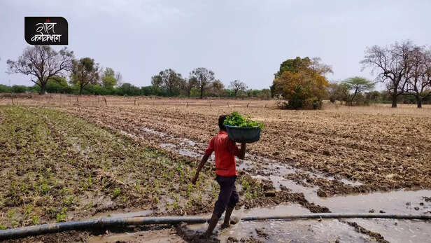 364860-heat-wave-alert-labour-agricultural-production-rural-india-bundelkhand-imd-climate-change-livelihood-health-2