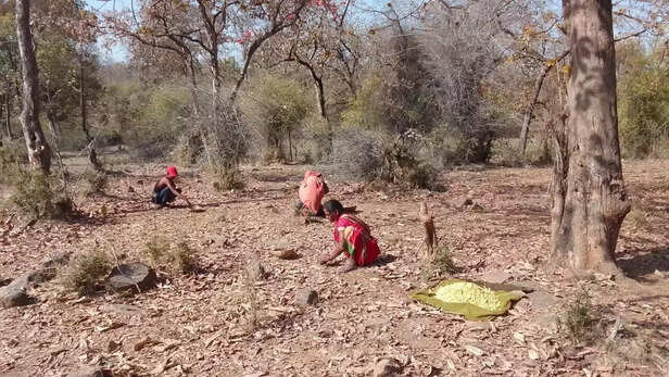 358881-whatsapp-image-2022-04-05-at-83044-am-3