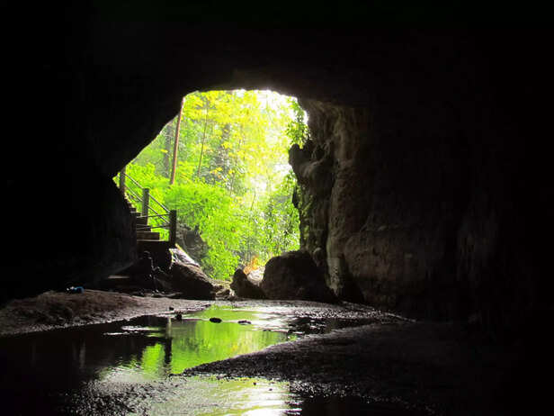 364714-new-species-amolops-frog-northeast-meghalaya-garo-hills-cave-ecosystem-1-scaled