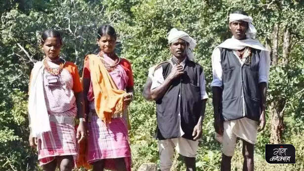 362810-forest-rights-act-tribal-community-adivasis-indigenous-community-india-law-analysis-2