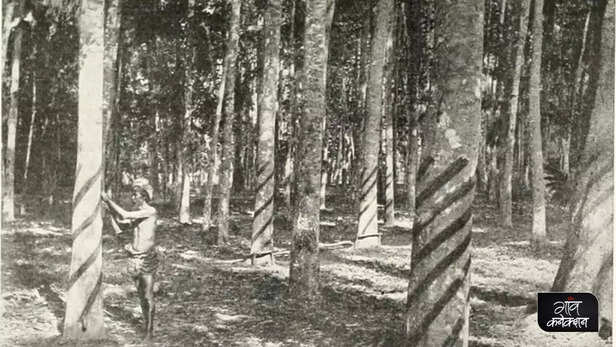 362813-forest-rights-act-tribal-community-adivasis-indigenous-community-india-law-analysis-1