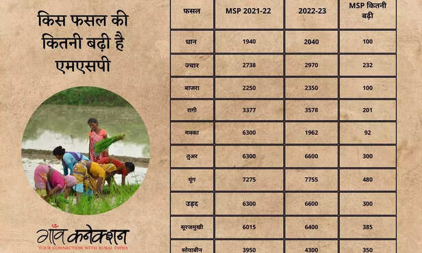 360051-cabinet-decision-msp-paddy-soya-bean-cotton-sunflower-kharif-2022-23-2