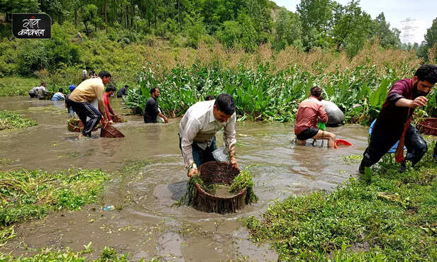 365654-panzath-nag-spring-jammu-kashmir-srinagar-water-bodies-fishing-5